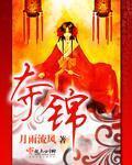 夺锦楼内容简介