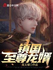 镇国至尊龙婿免费阅读