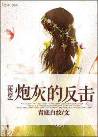 快穿炮灰的反转人生txt