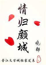情归 电视剧
