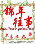 锦年番外车