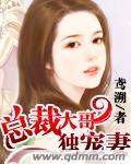 总裁独宠