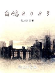白鸽冠军鸽图片大全
