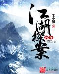 江湖奇案24