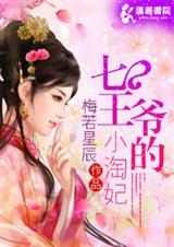 穿越七王爷