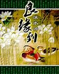 良缘到 沐水游讲什么