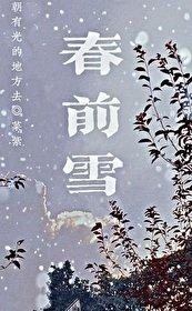 春前雪靳朝安身世