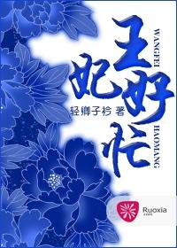 王妃很忙轻卿子衿免费阅读