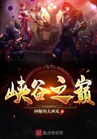 峡谷之巅第一名一天多少钱