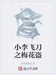 小李飞刀电视剧梅花盗的真实身份