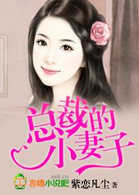 总裁的妻子是医生