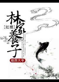 红楼林家养子喜欢黛玉