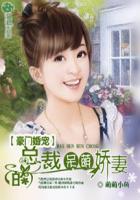 豪门第一宠婚总裁好难缠