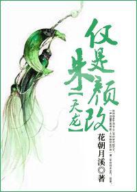 天龙八部朱颜银霏