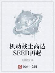 机动战士高达seed剧场版2024