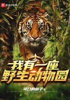 我有一座野生动物园txt百度