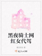 黑夜骑士视频