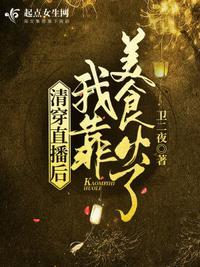 清穿我靠厨艺四爷