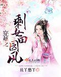 穿越之剩女的艳遇完