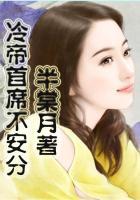 冷帝少神秘妻