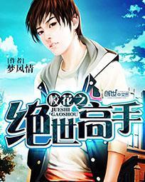校花之绝世高手TXT