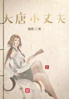 大唐小丈夫TXT