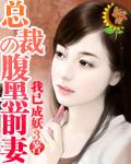 腹黑总裁独宠前妻