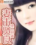 妻本贤良破解版