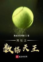 网坛之数据天王TXT最新章节