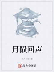 重启之月陨回声