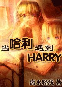 (HP)当哈利遇到HARRY(完结 2番外)。txt