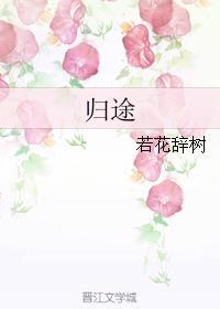 归途有期