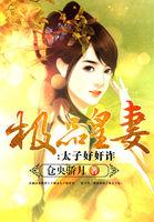 极品皇太子完结
