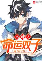 木叶之命运双子奇书