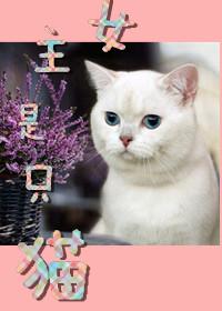女主角是一只猫的