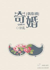 奇婚偶像剧txt