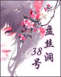 盘丝洞38号全文在线阅读