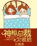 神秘总裁超给力全文免费阅读