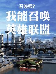 召唤师我能召唤英雄联盟全文阅读