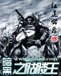 暗黑之骷髅王TXT全集在线阅读
