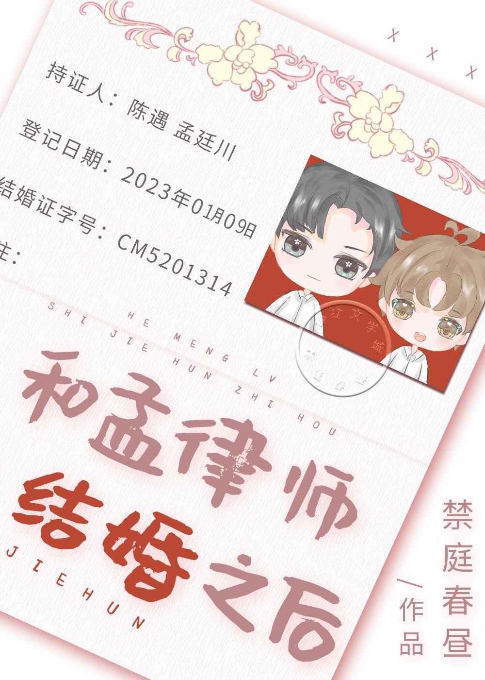 和孟律师结婚之后剧情