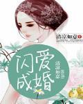 闪爱成婚严城千芊