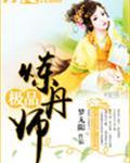 极品炼丹师房车齐全