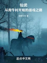 仙武大全