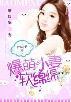 婚后蜜宠萌妻至上 情非缘浅