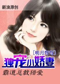 霸道总裁独宠暖妻