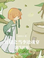穿越红楼李家