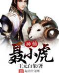神捕聂小虎第二季