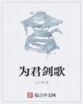 剑为君舞 ns