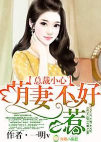 总裁宠小萌妻